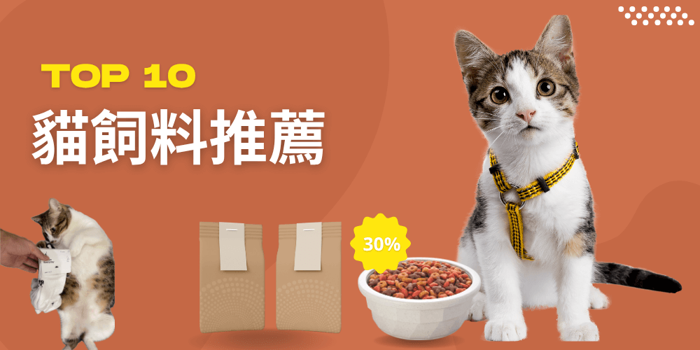 2025年十大貓飼料推薦:為您的愛貓挑選最佳營養 2025年十大貓飼料推薦:為您的愛貓挑選最佳營養