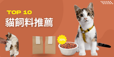 2025年十大貓飼料推薦：為您的愛貓挑選最佳營養