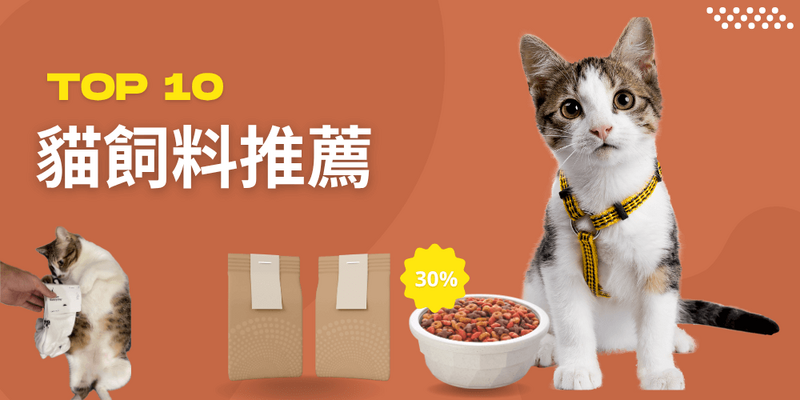 2025年十大貓飼料推薦：為您的愛貓挑選最佳營養